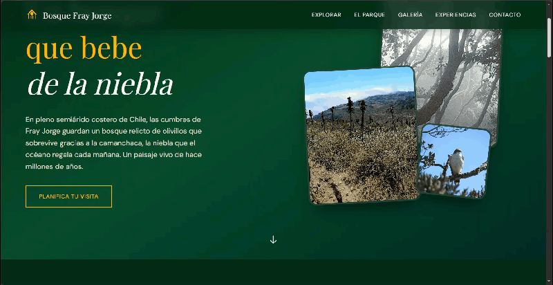 Muestra de sitio corporativo